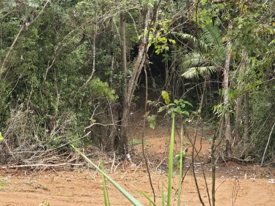 #62 Estancias La Sierra Ii, Aguas Buenas, PR 00703 - #3