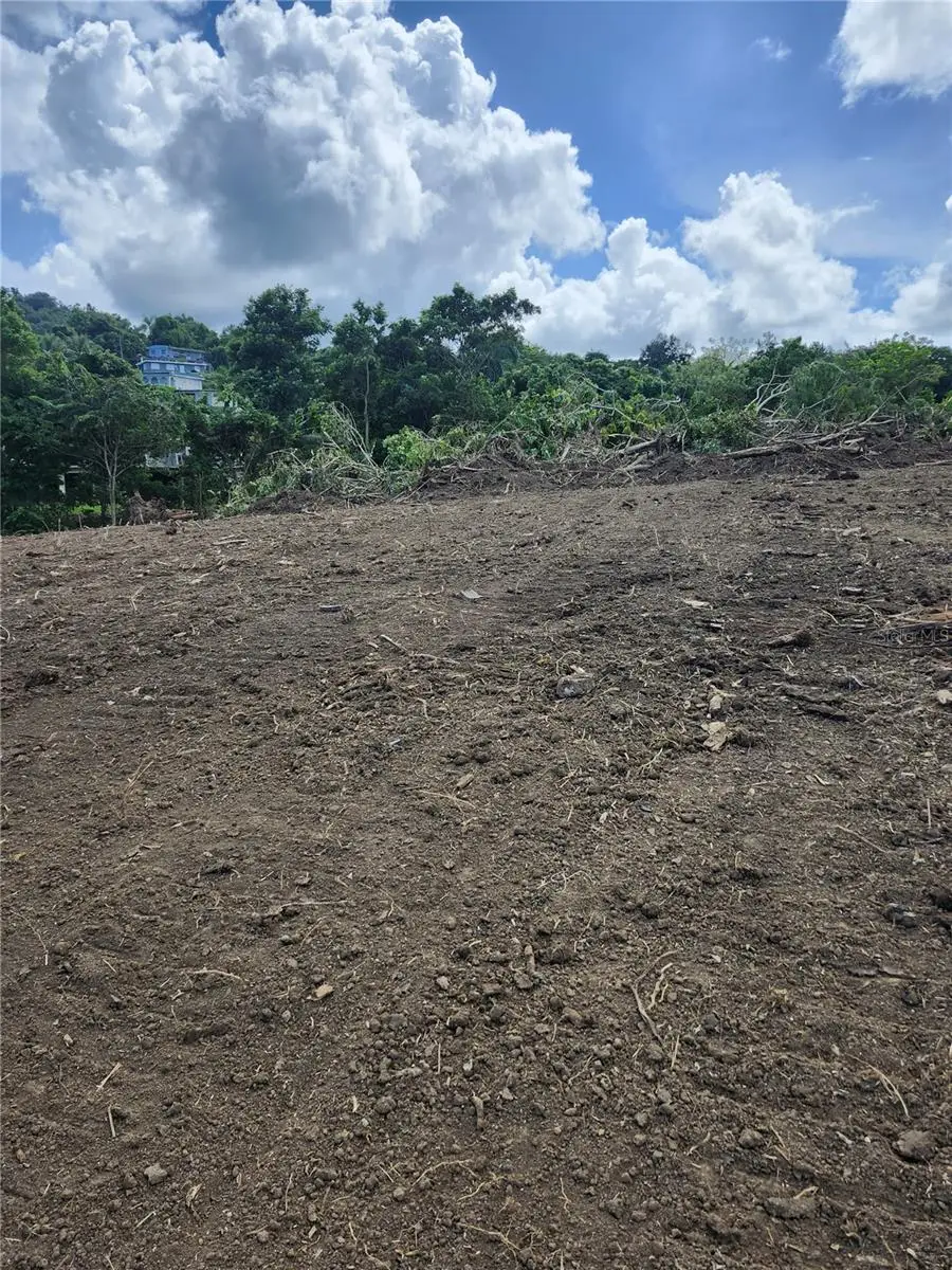 Bo. Lomas, Canovanas, PR 00729 - #2