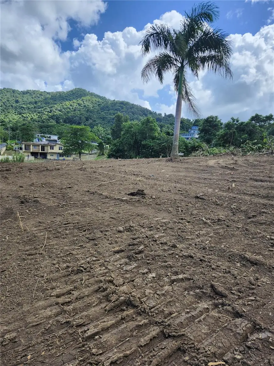 Bo. Lomas, Canovanas, PR 00729 - #3