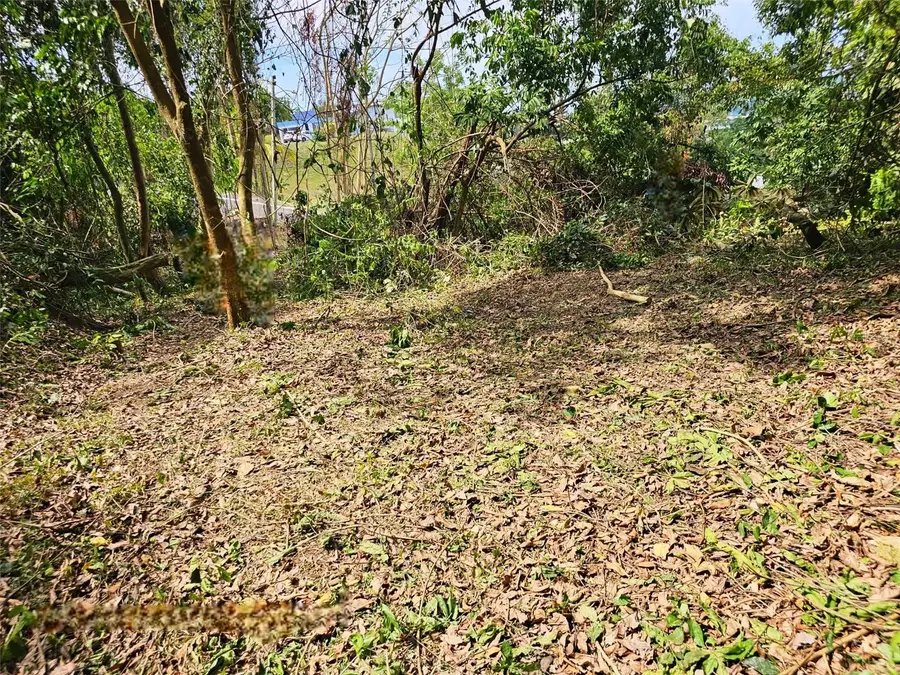 829 St. Santa Olaya #10, Bayamon, PR 00956 - #2