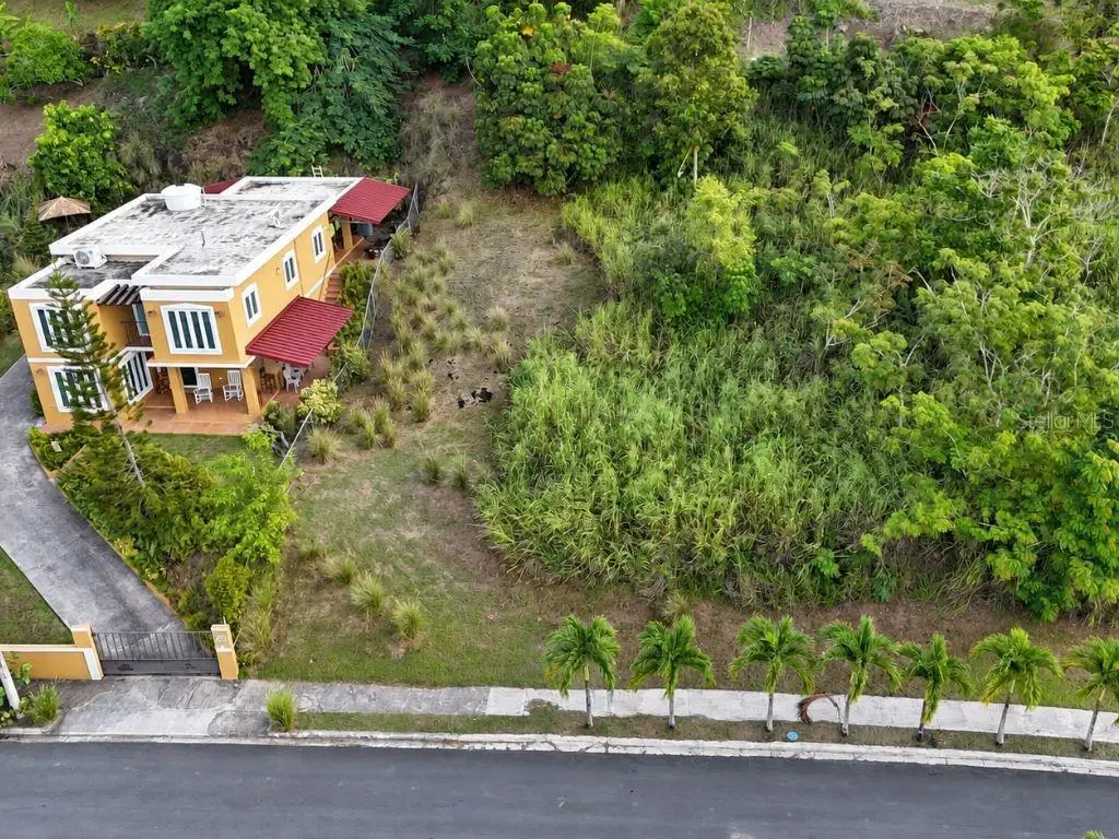 CARR. 734 KM. 5.8 SOLAR 3 Barrio Arenas, Cidra, PR 00739 - #1