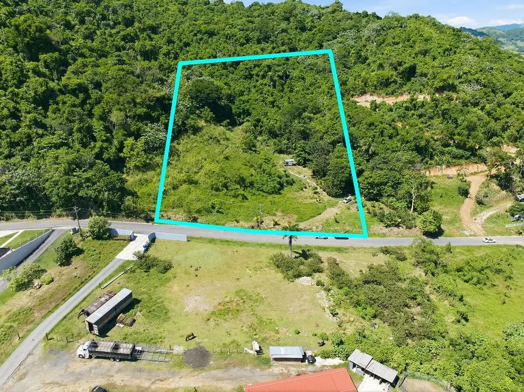 167 Anton Ruiz, Humacao, PR 00791 - #1