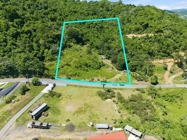 167 Anton Ruiz, HUMACAO, PR 00791