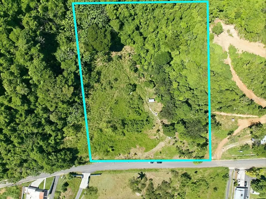 167 Anton Ruiz, Humacao, PR 00791 - #3