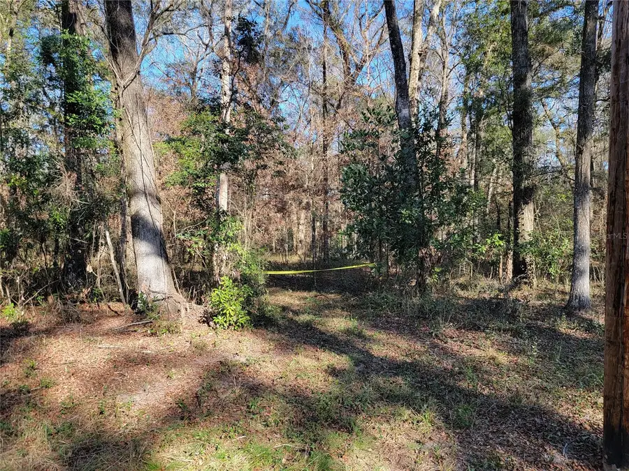 SW Newark Drive, Fort White, FL 32038 - Image #3