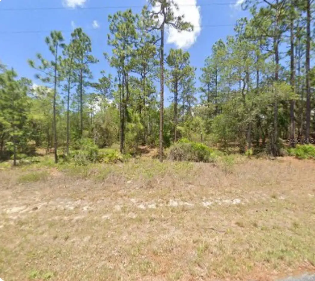 3271 W Montgomery Lane, Citrus Springs, FL 34433 - Image #1