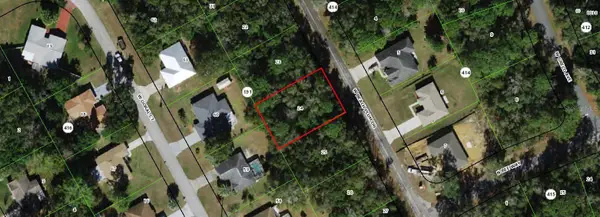 2124 W Beach Plum Drive, CITRUS SPRINGS, FL 34434