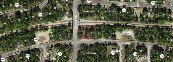 11241 N G Martinelli Boulevard, CITRUS SPRINGS, FL 34433