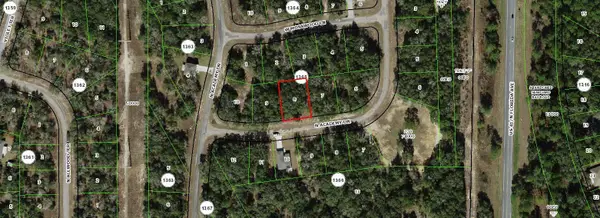 11163 N Academy Drive, CITRUS SPRINGS, FL 34434