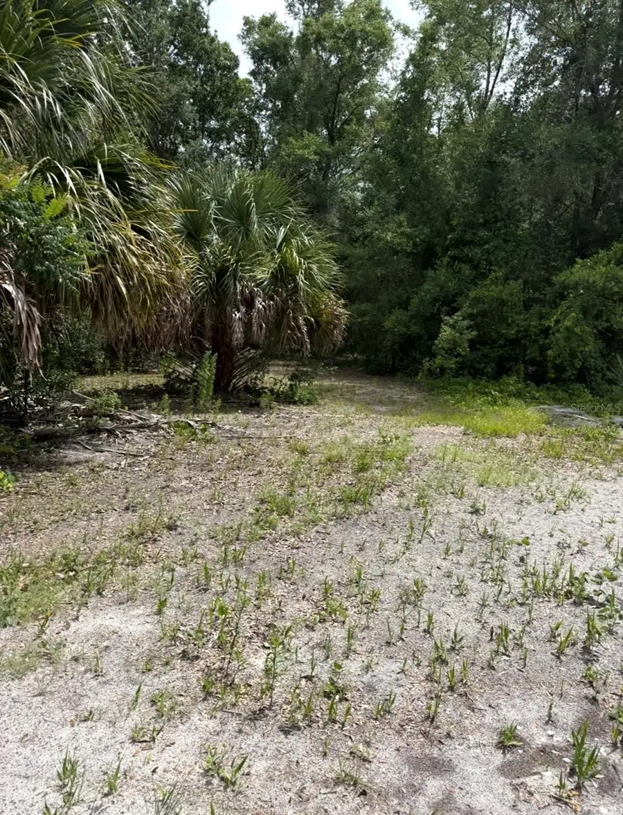 TBD NW 27th Place, Chiefland, FL 32626 - Image #3