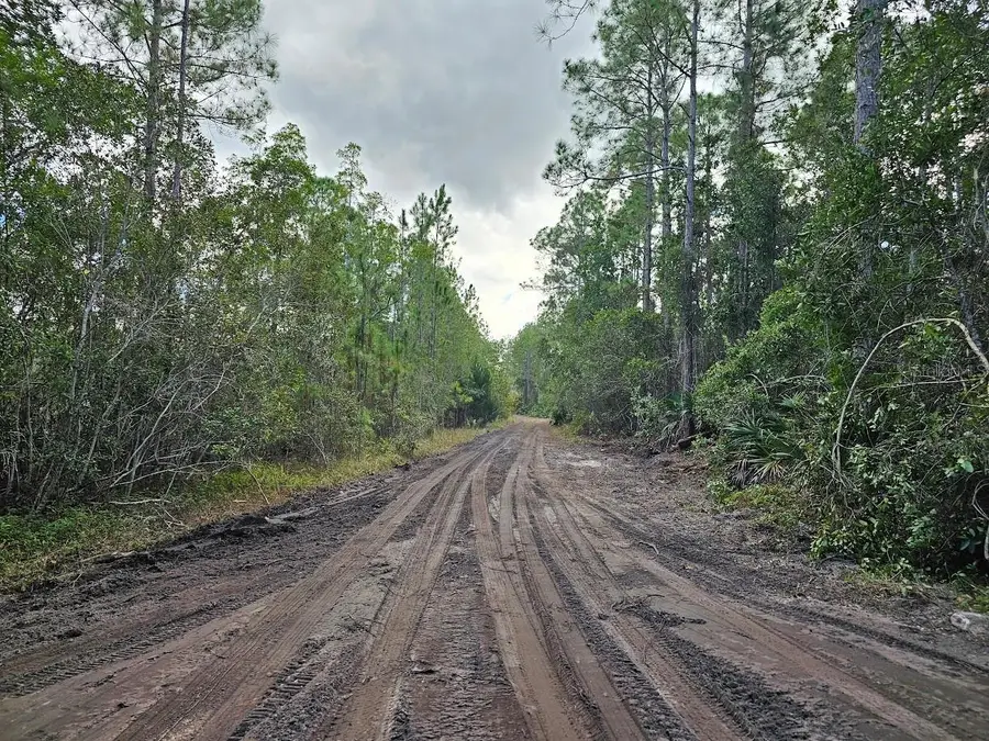 804 Shell Harbor Road, Pierson, FL 32180 - Image #2