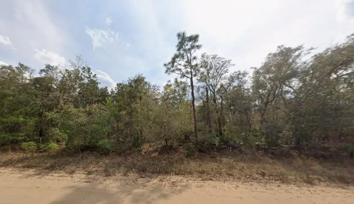 Osborne Street, Interlachen, FL 32148 - Image #1