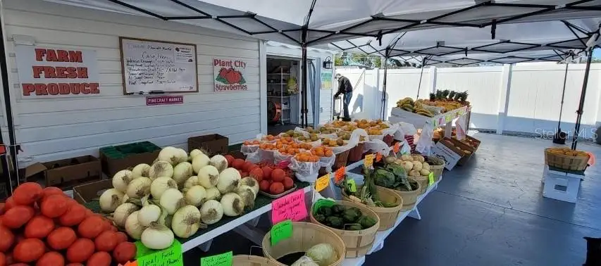 3351 Bahia Vista Street, Sarasota, FL 34239 - #2