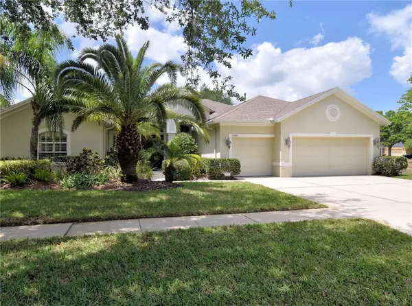 15304 Bellamy Road, TAMPA, FL 33625