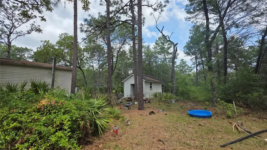 5719 W Stockholm Lane, Dunnellon, FL 34433 - #3