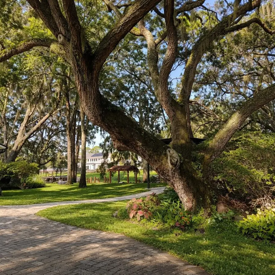 11102 Shady Oak Street, Orlando, FL 32832 - #2
