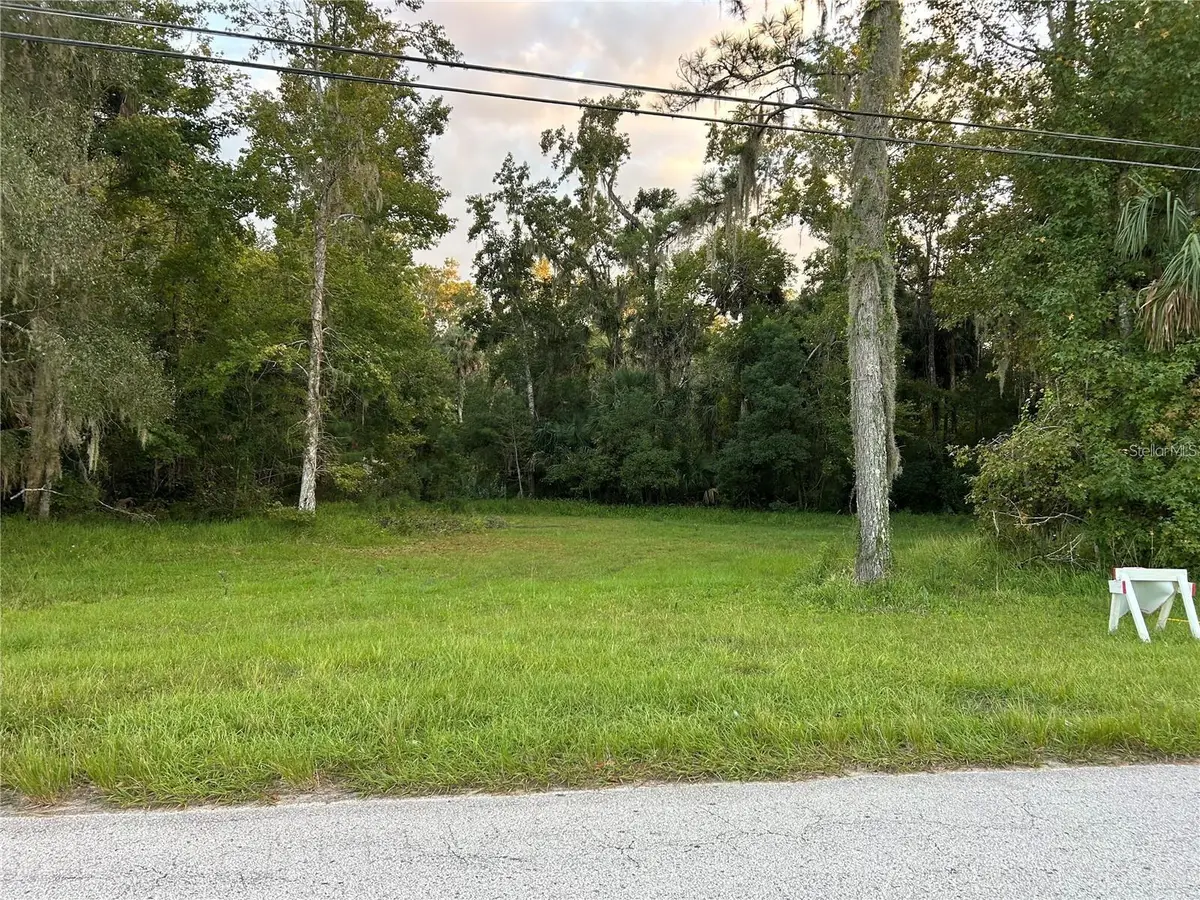 24916 Butler Street, Astor, FL 32102 - #1