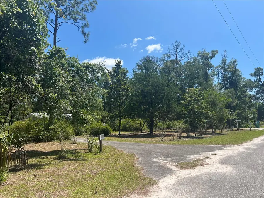 203 SE 45 Avenue, Cross City, FL 32628 - #3