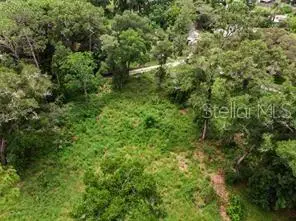 141 Holly Street, Apopka, FL 32712 - #2