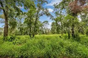 141 Holly Street, Apopka, FL 32712 - #3