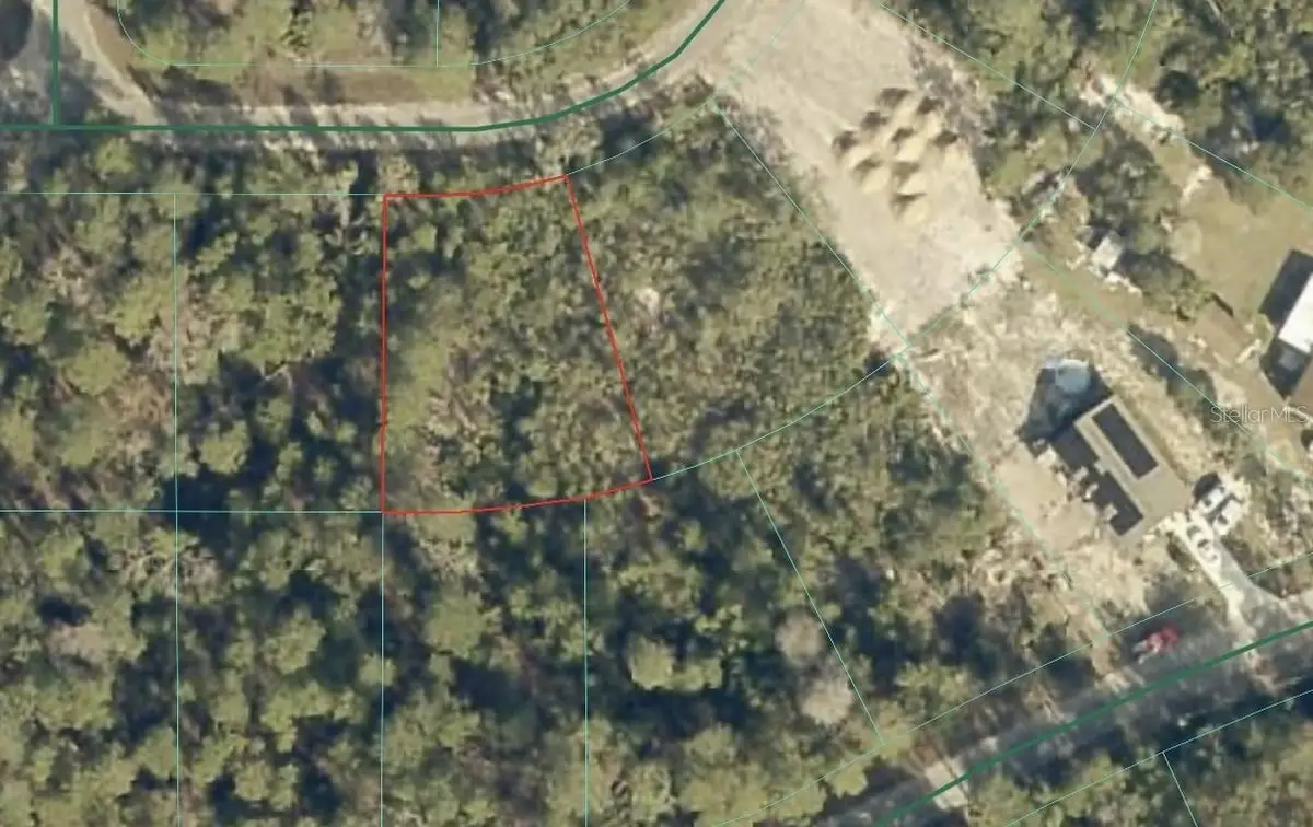 Fisher Trail, Ocklawaha, FL 32179 - #1