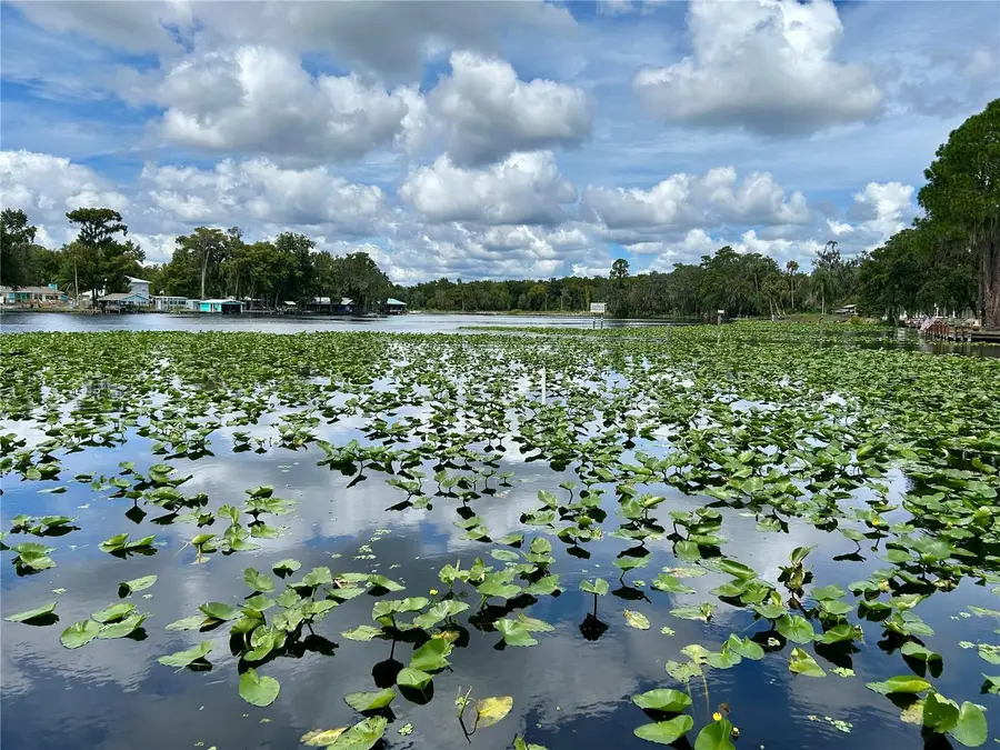 1638 Paradise Lane, Astor, FL 32102 - #2