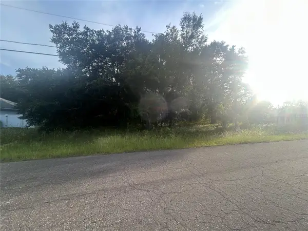 0000 Guava Terrace #4, OCKLAWAHA, FL 32179