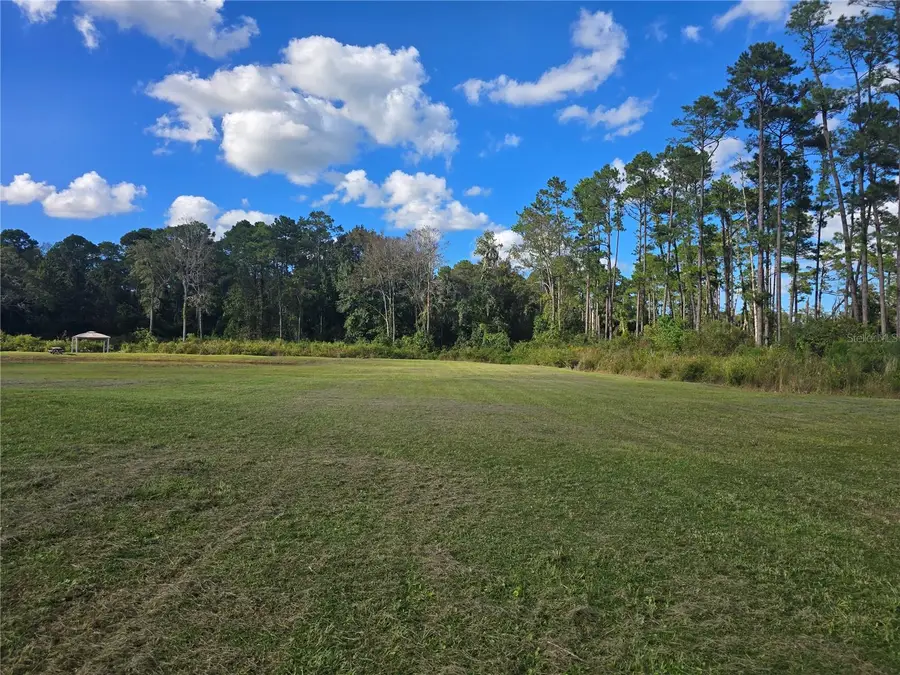 160 W Hagstrom Road, Pierson, FL 32180 - #3