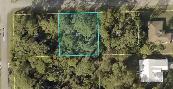 2902 E 3rd Street, LEHIGH ACRES, FL 33936