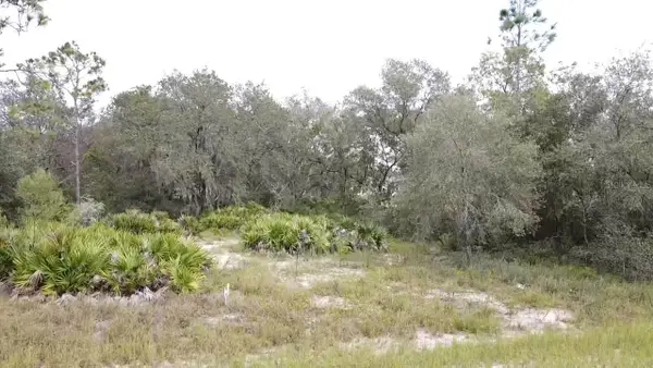 1405 Sarasota Court, POINCIANA, FL 34759