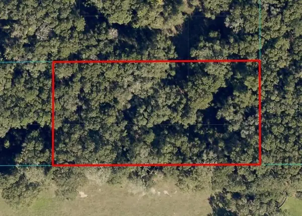 Undetermined, OCALA, FL 34480