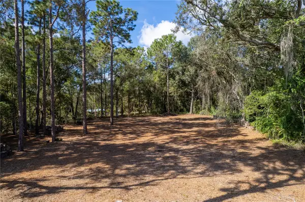 Se 180th Ave Road, OCKLAWAHA, FL 32179