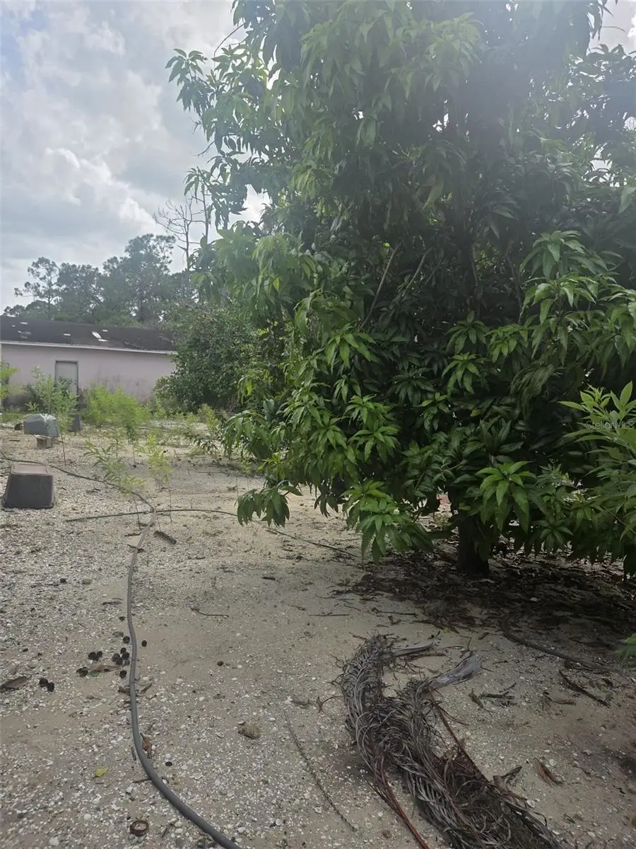 1850 Panama Avenue, Clewiston, FL 33440 - Image #2