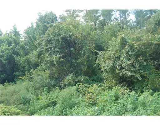 Raulerson Road, Frostproof, FL 33843 - #1