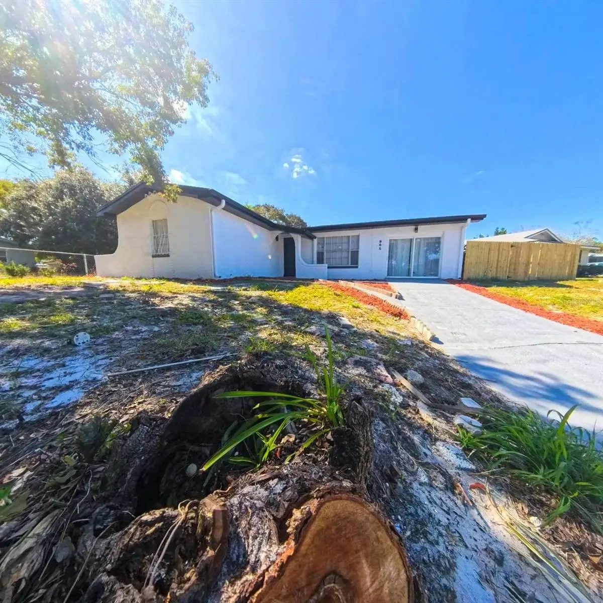 905 Spring Creek Drive, Ocoee, FL 34761 - Image #1