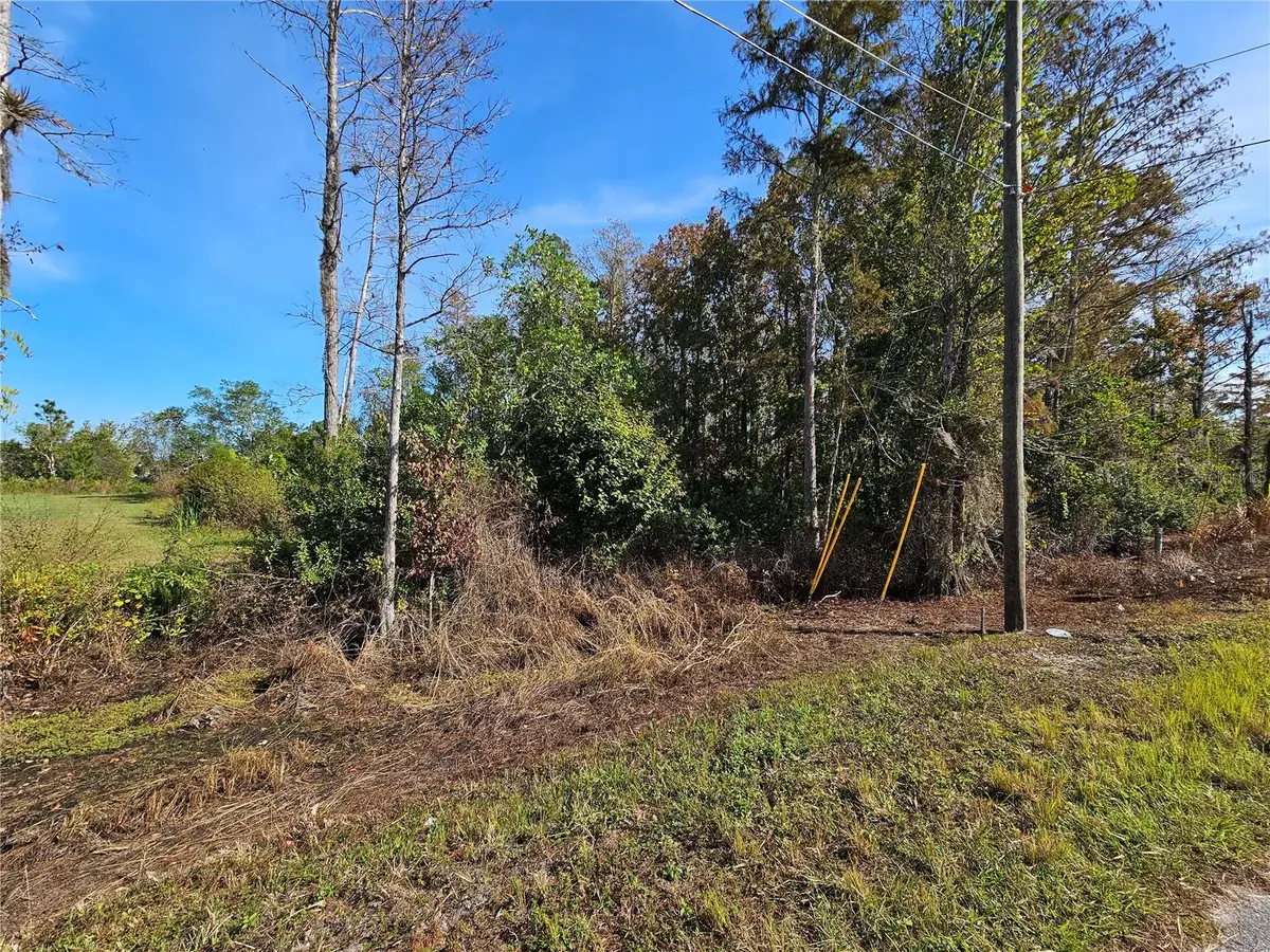 Luna Drive, Saint Cloud, FL 34773 - Image #1