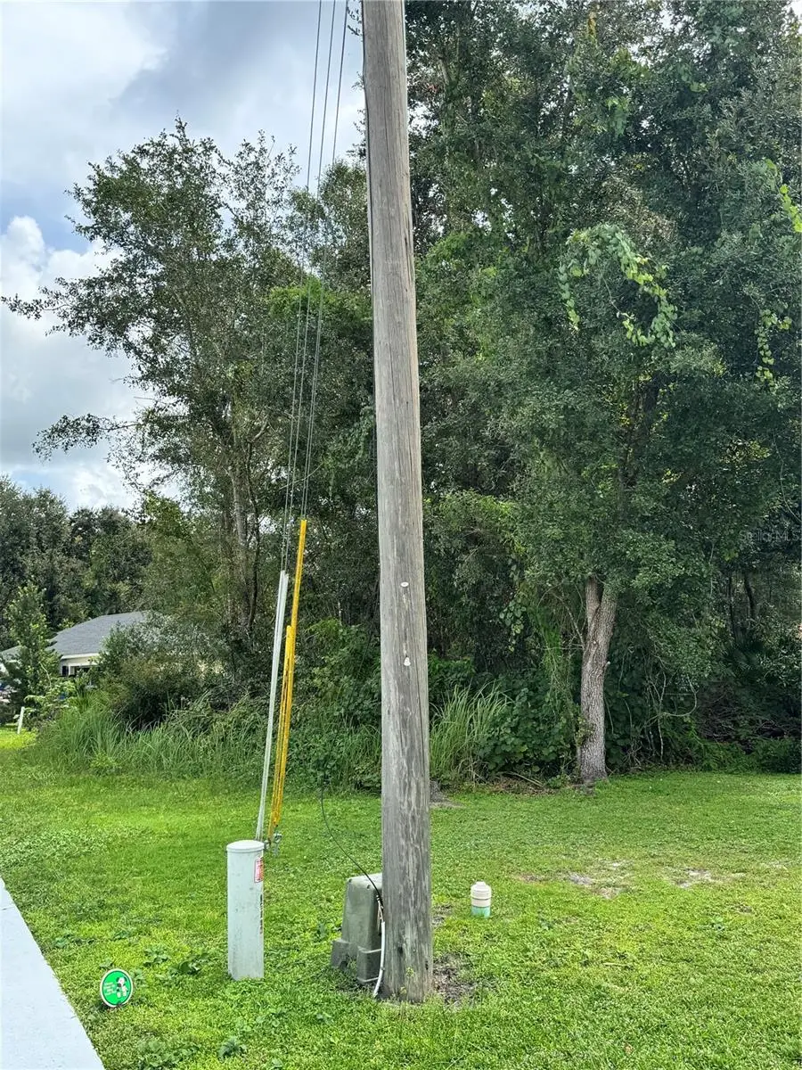 0 Tiffany Court, Kissimmee, FL 34758 - Image #3