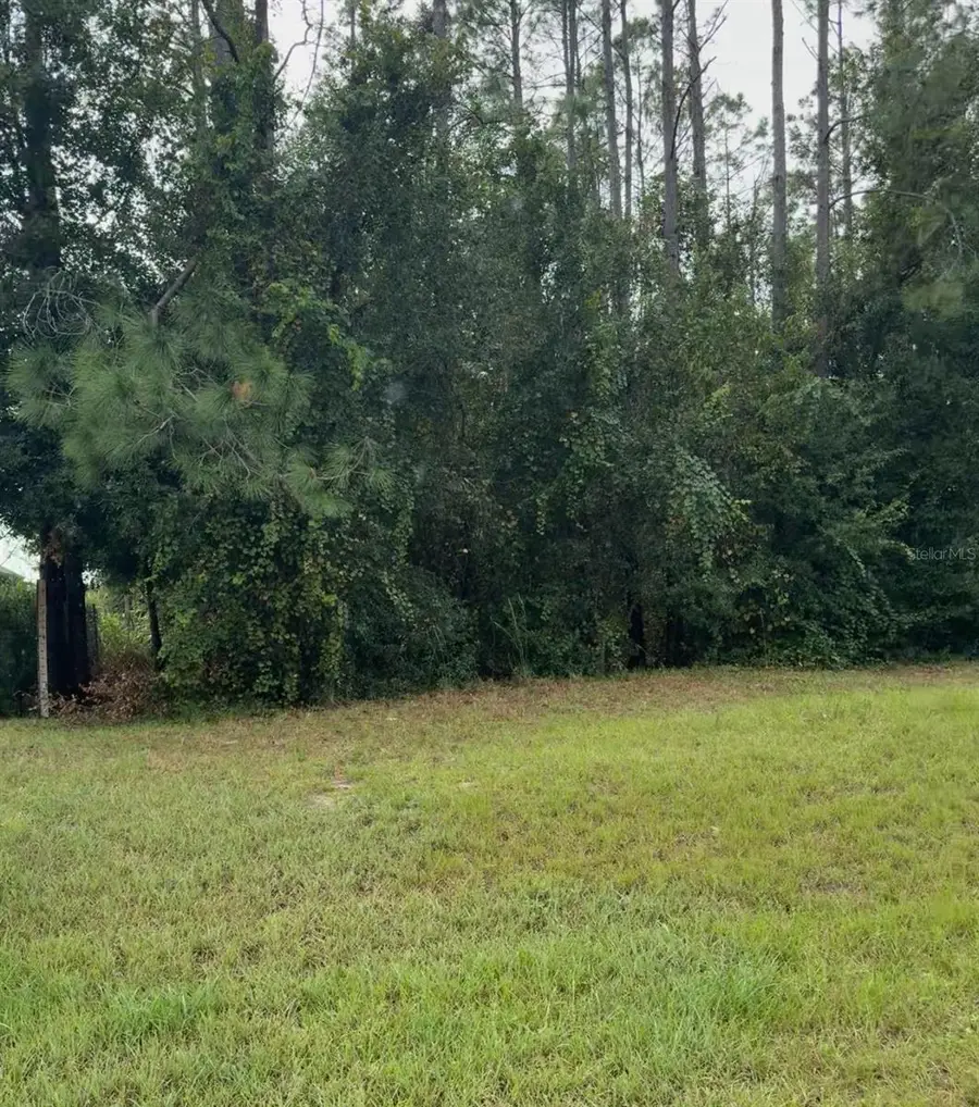 Lake Smith Road, Umatilla, FL 32784 - Image #2
