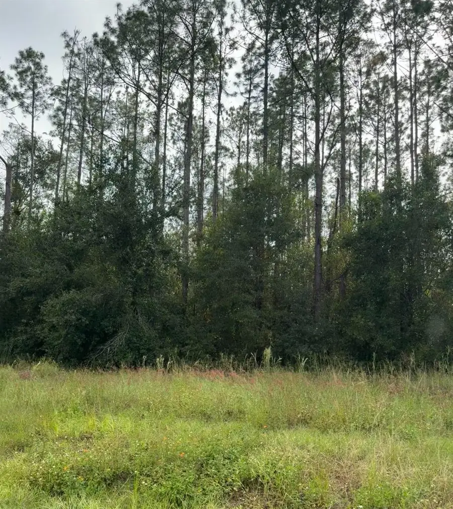 Lake Smith Road, Umatilla, FL 32784 - Image #3