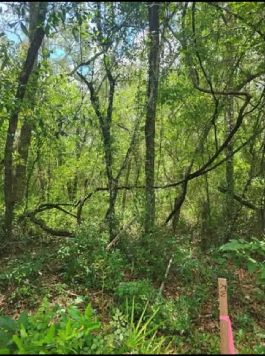 33340 Tombstone Street, Webster, FL 33597 - Image #2