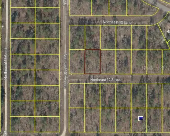 Tbd Ne 12 Street, Williston, FL 32696 - Image #3