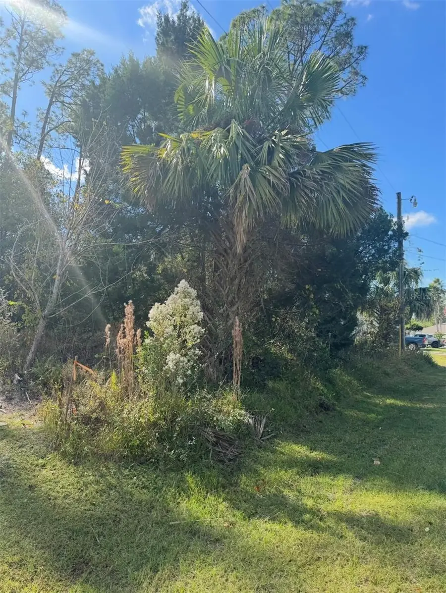 38 Sleepy Hollow Trail, Palm Coast, FL 32164 - Image #3