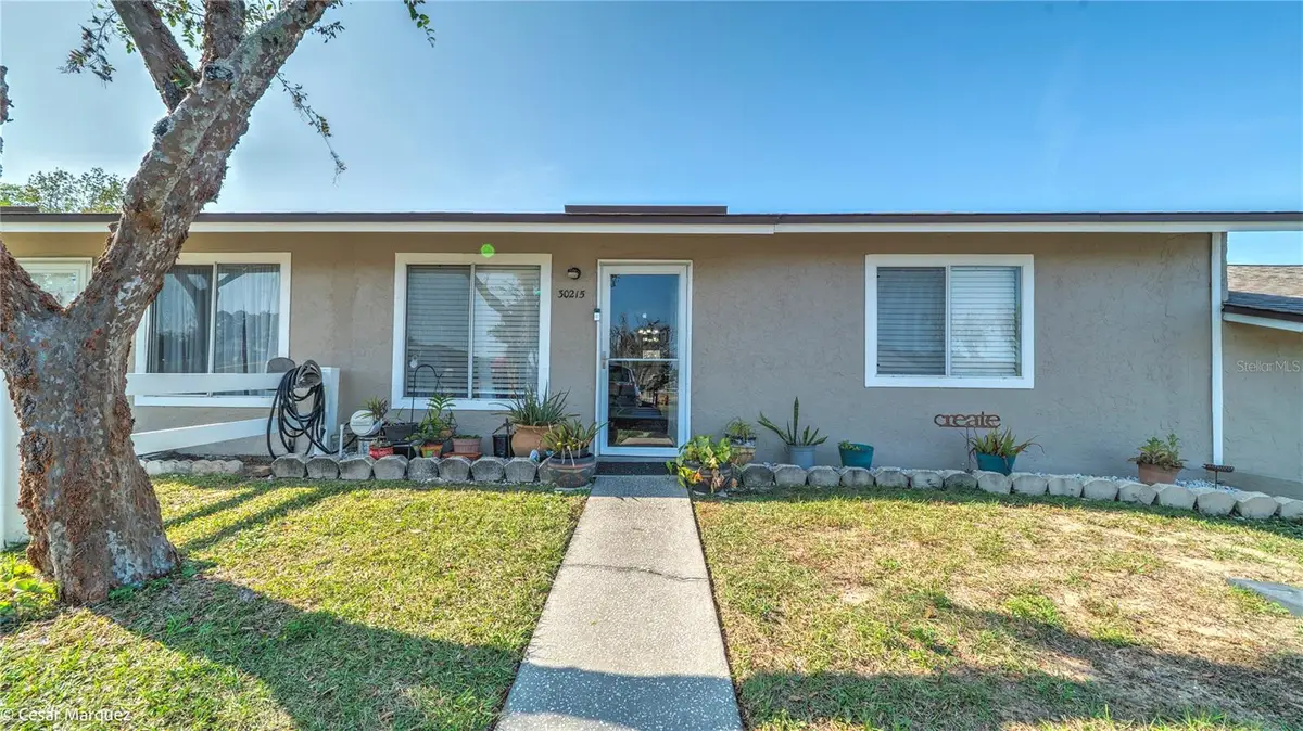 30215 Tavares Ridge Boulevard #11, Tavares, FL 32778 - Image #1