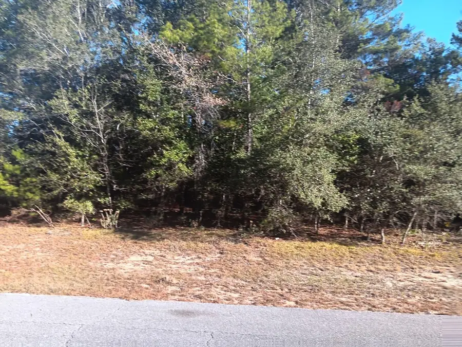 Eva Place, Chipley, FL 32428 - Image #2