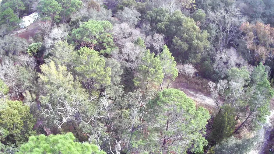 12070 Seely Lane, Brooksville, FL 34613 - Image #3