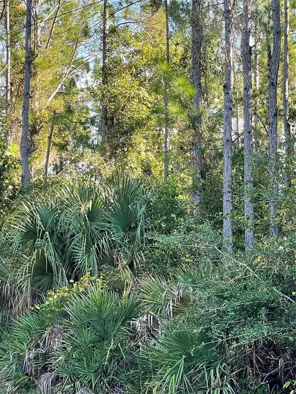 Old Train Road, DELTONA, FL 32738