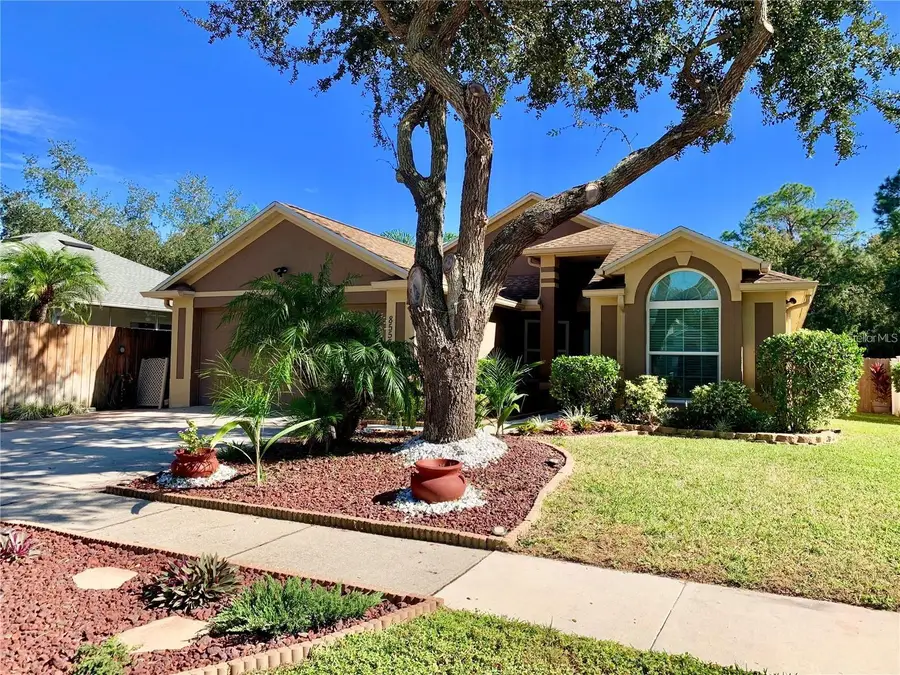 8553 Manassas Road, Tampa, FL 33635 - Image #2