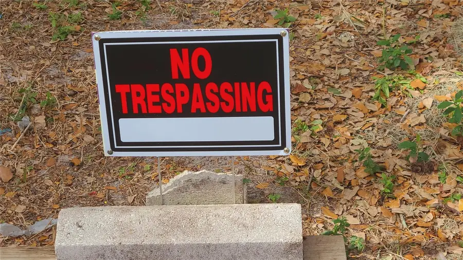 1674 Magnolia Lane, Kissimmee, FL 34746 - Image #3