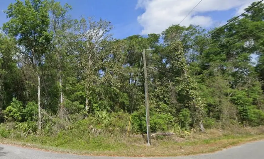 Spruce Terrace Run, Ocala, FL 34472 - Image #3