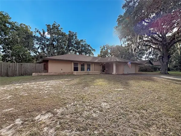 209 First Street, TAVARES, FL 32778